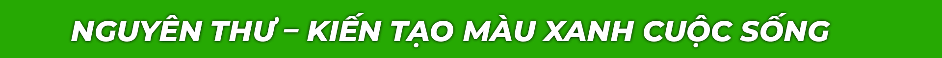CÁC DỊCH VỤ KHÁC